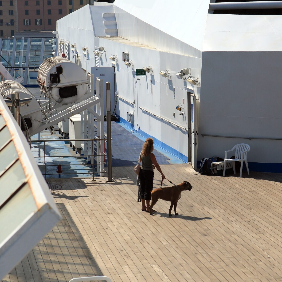 Can you cruise with pets